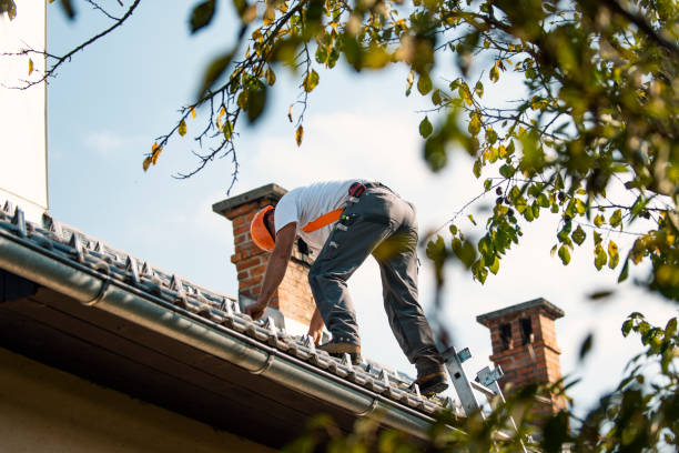 Roof Gutter Cleaning in Malvern, AR